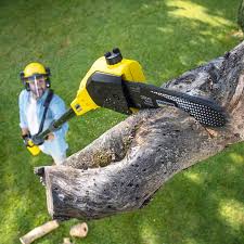 Best Lawn Pest Prevention  in Southchase, FL